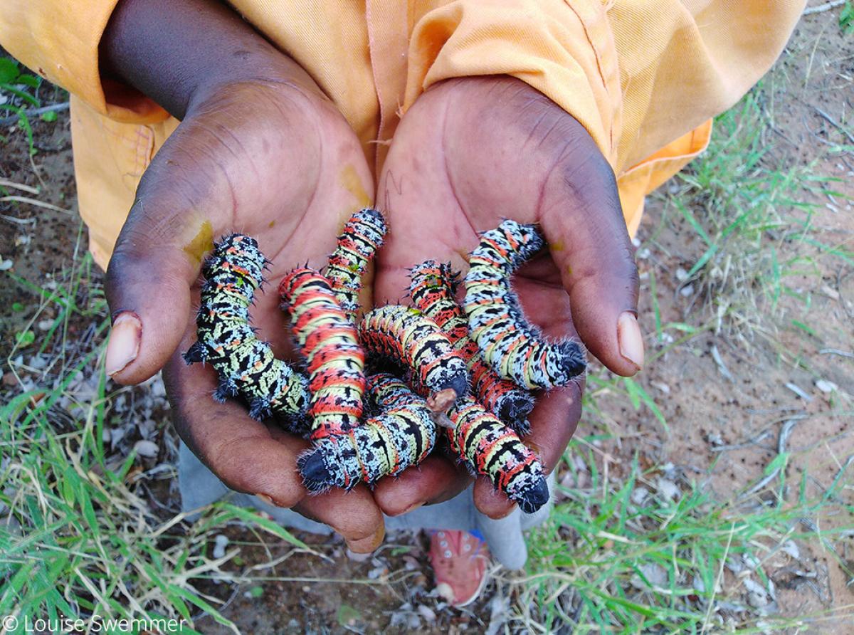 Photo By: Sanparks.org 